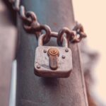 folco-masi-shUdd_GMMnY-unsplash